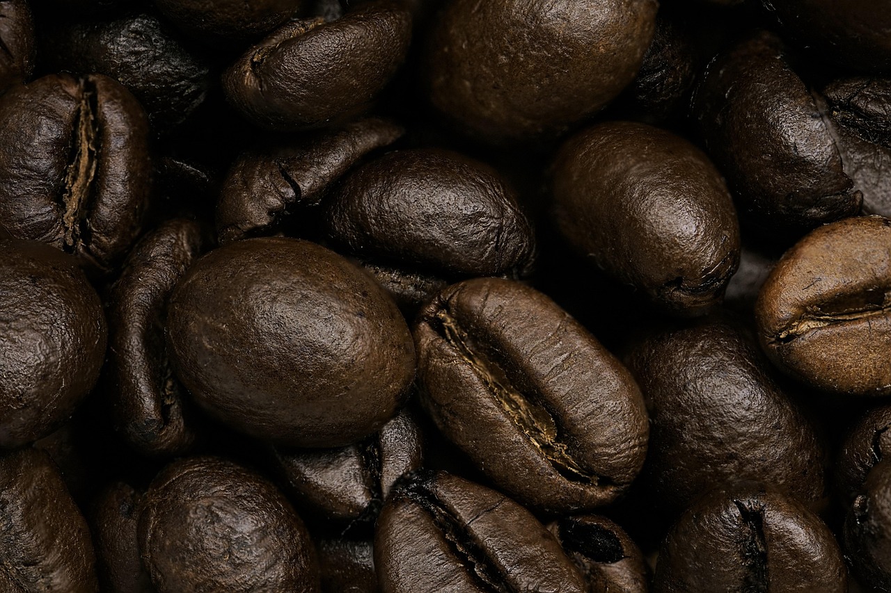 Can India become the next big hub in Global Cocoa Production?