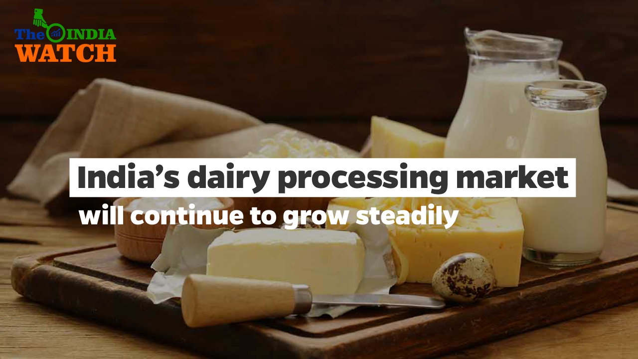 India’s Dairy Processing Market will Continue to Grow Steadily