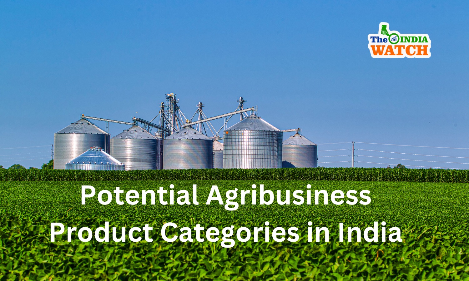 Top 5 Potential Agribusiness Product Categories in India