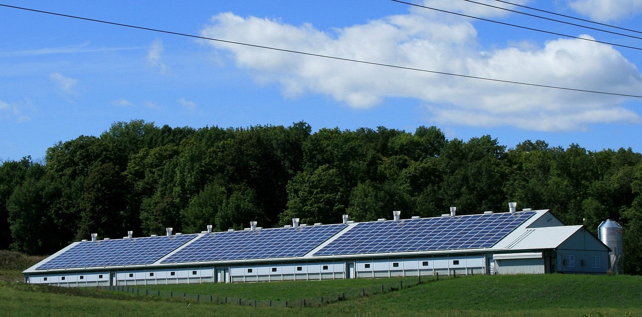 Overview of India’s PUF Panels Manufacturing Industry